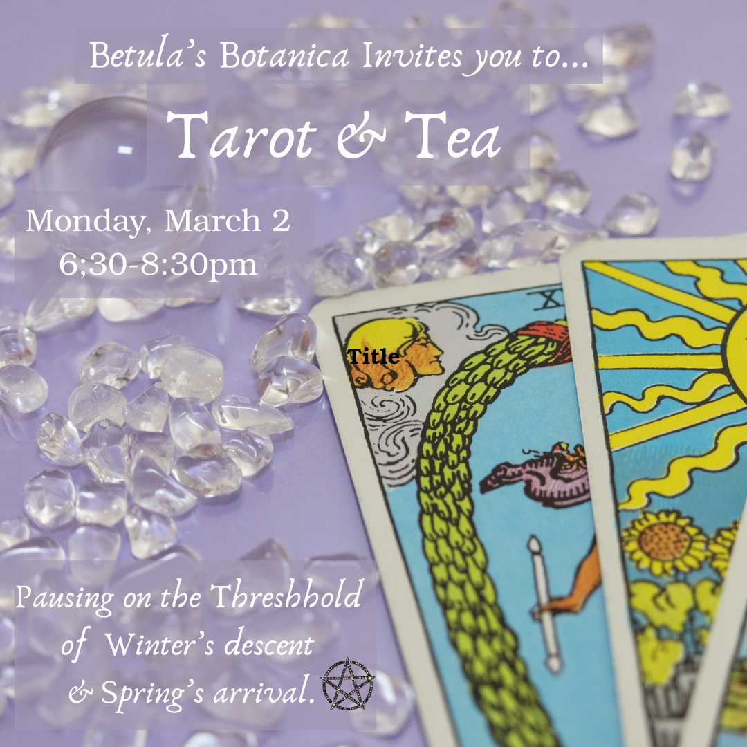 Tarot & Tea ~ Learning Gather, March 2026